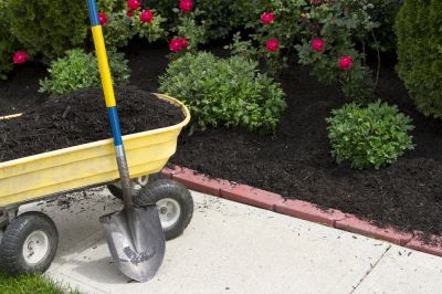 Improve Your Curb Appeal