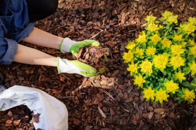 Invest in Your Home with Mulch Installation